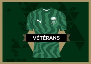 Slide-veterans
